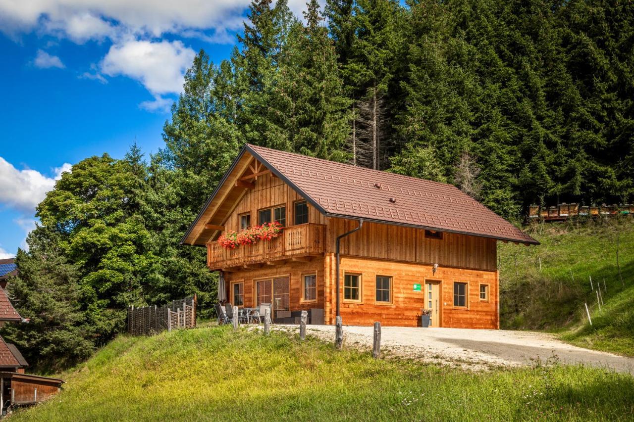Binderhof Apartment Weisspriach Luaran gambar